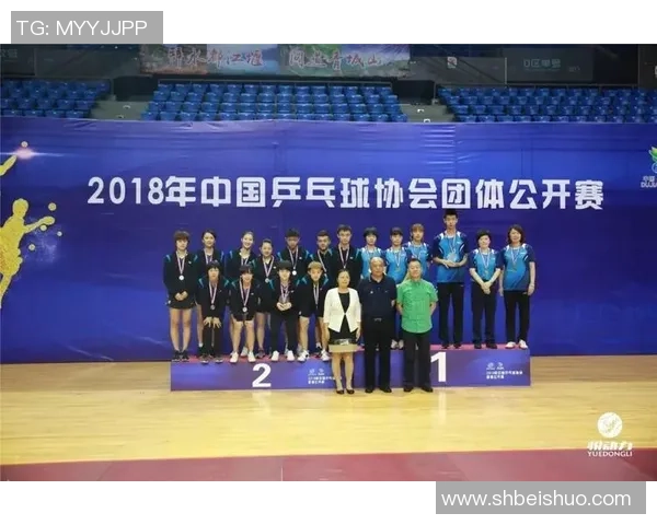 武汉乒乓球队灵活性表现的深度数据分析与趋势探讨